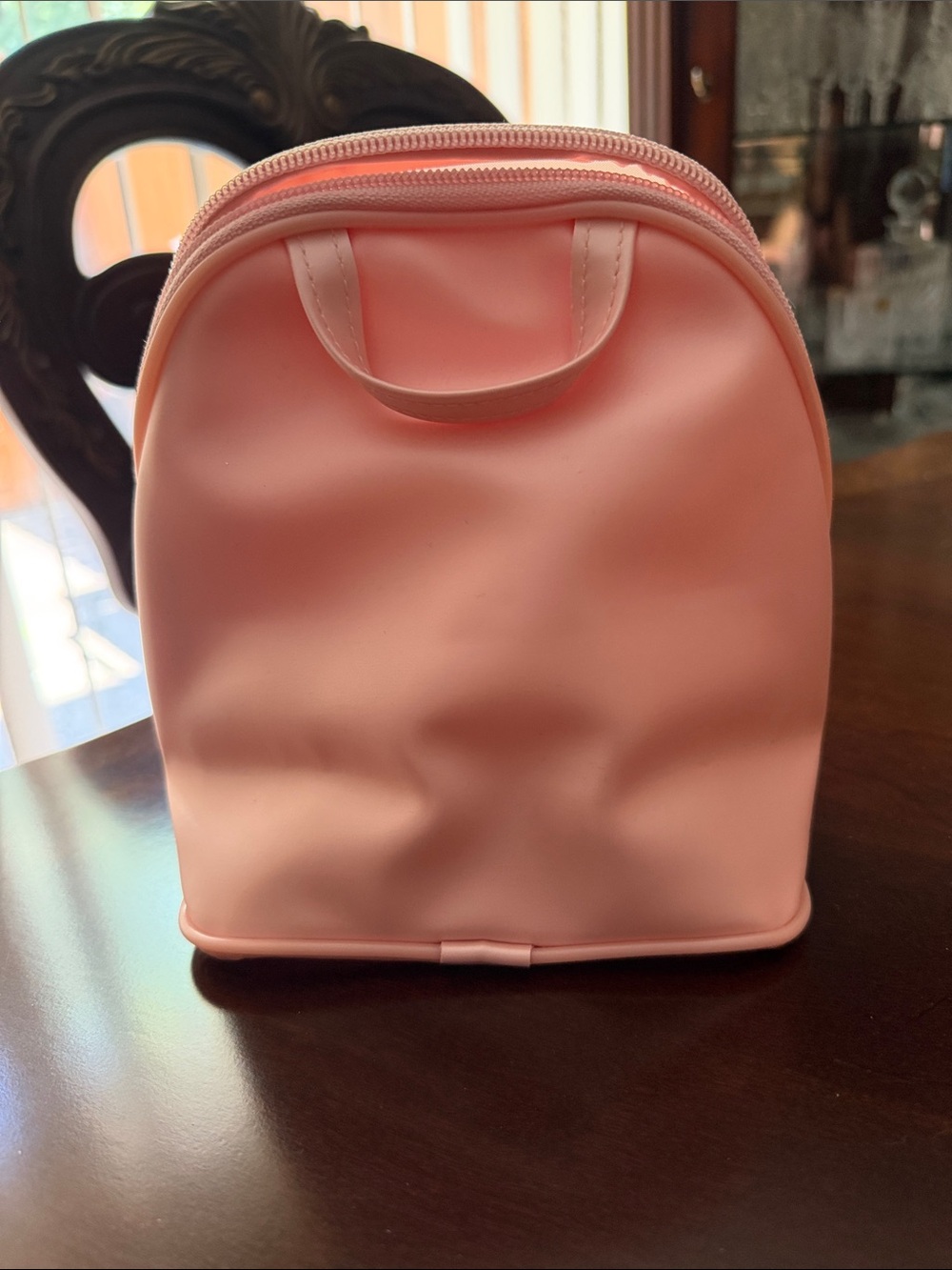 Dior Pink Clear Cosmetic Pouch( one of a kind)